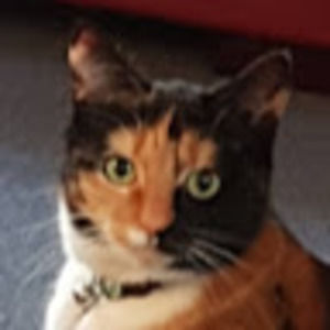 Meet your Posher, Jasmine